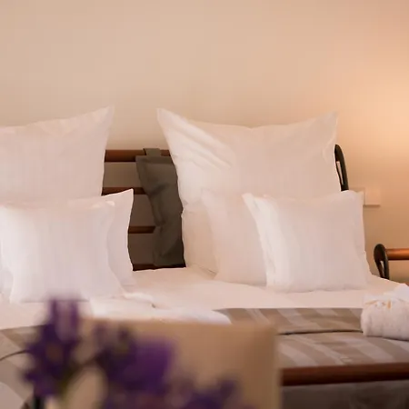 Casa Font I Roig 4* Maria De La Salut
